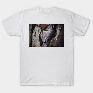 Heart Bark T-Shirt